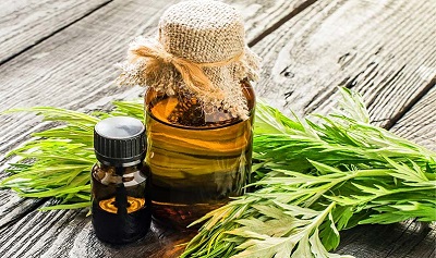 艾草油